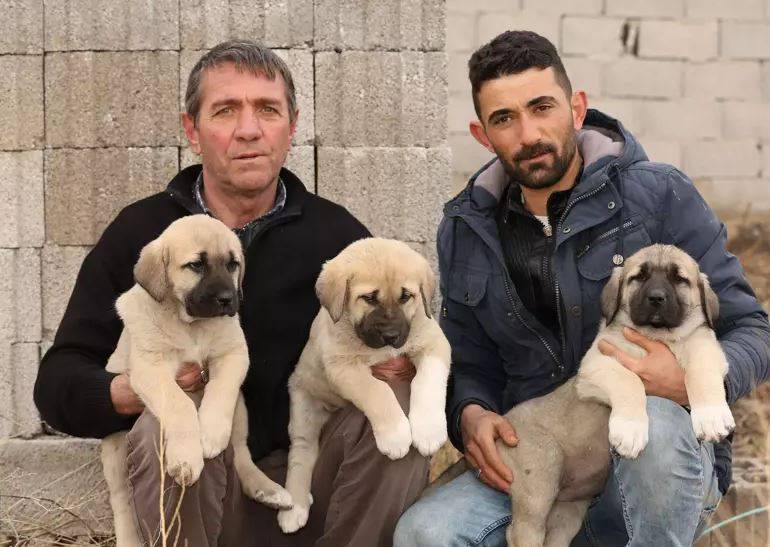 Adını Evliya Çelebi koyduğu’nun Aksaray malaklısı İngiltere’de manşet oldu. Bir öğünde yedikleri hayrete düşürdü 13